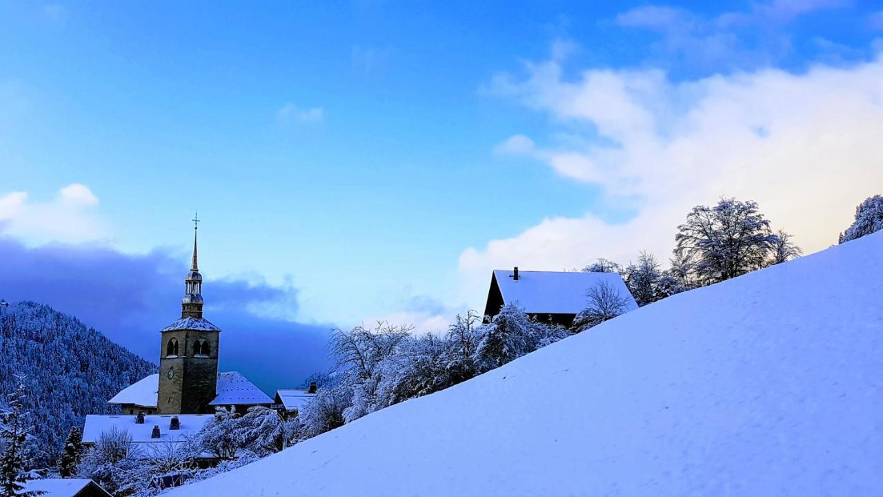 Chalet La Source Guest house 3*