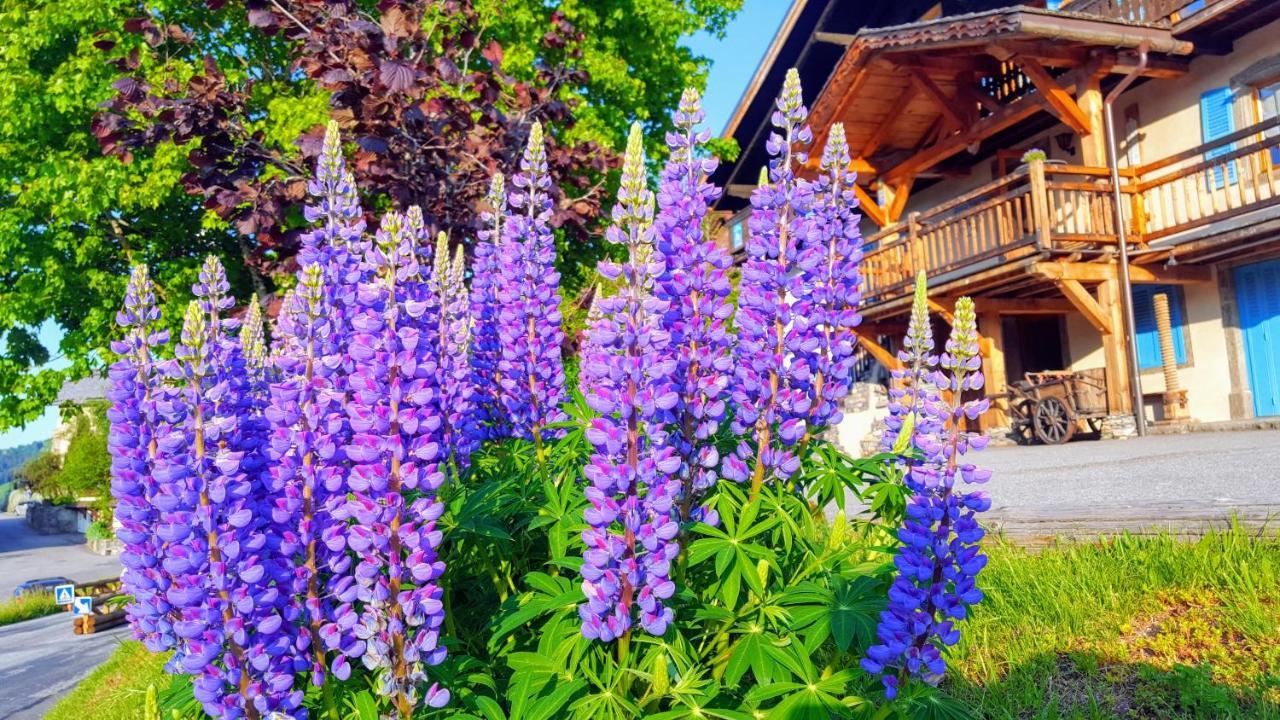 Guest house Chalet La Source Saint-Nicolas-la-Chapelle (Savoie)